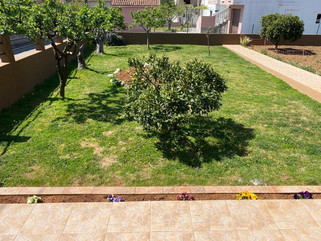 Apartmani Dubravka Bibinje Exterior photo